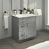 La Royal 30" Sink Base Bathroom Vanity with Drawer Light Grey Shaker Ready-to Assemble Cabinet