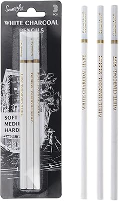 3 Pieces Artists Sketching SoftMediumHard 4MM Core White Highlight Charcoal Pencils Set for Professionals Limners Artists Beginners Shading Drawing Blending Painting Coloring Art Supplies